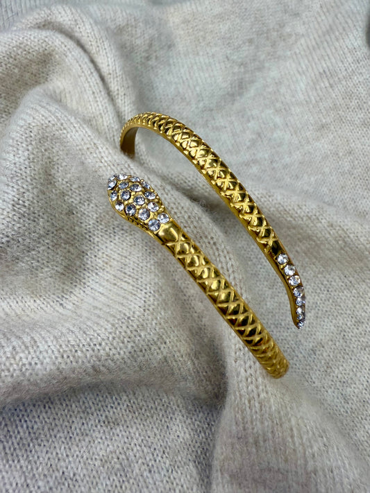 Snake Adjustable Bangle